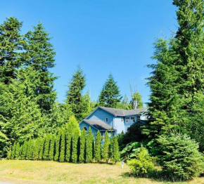Blue Cedar Suite